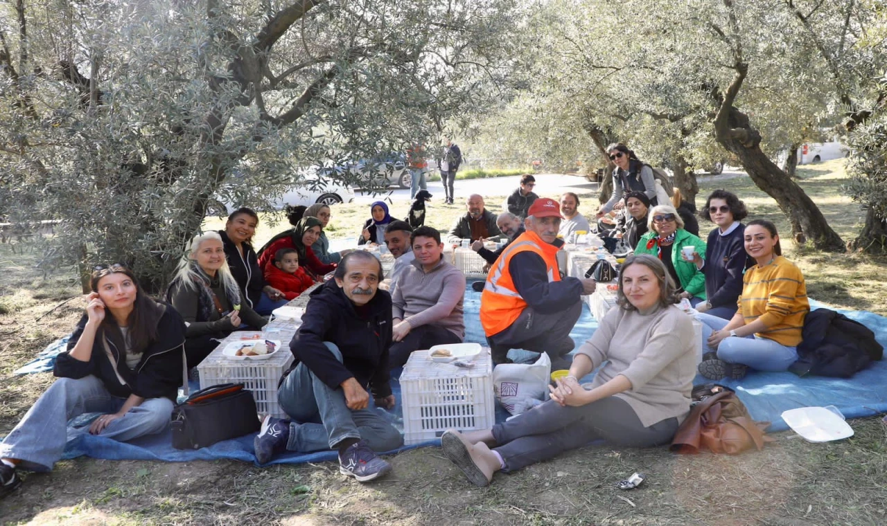 Mudanya’da birlikte zeytin topladılar