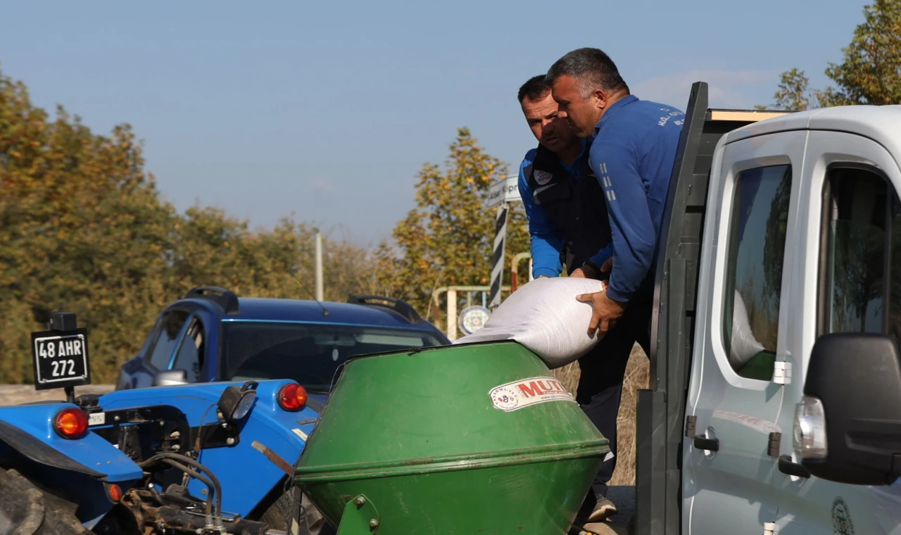Muğla Büyükşehir’den kaba yem üretimi