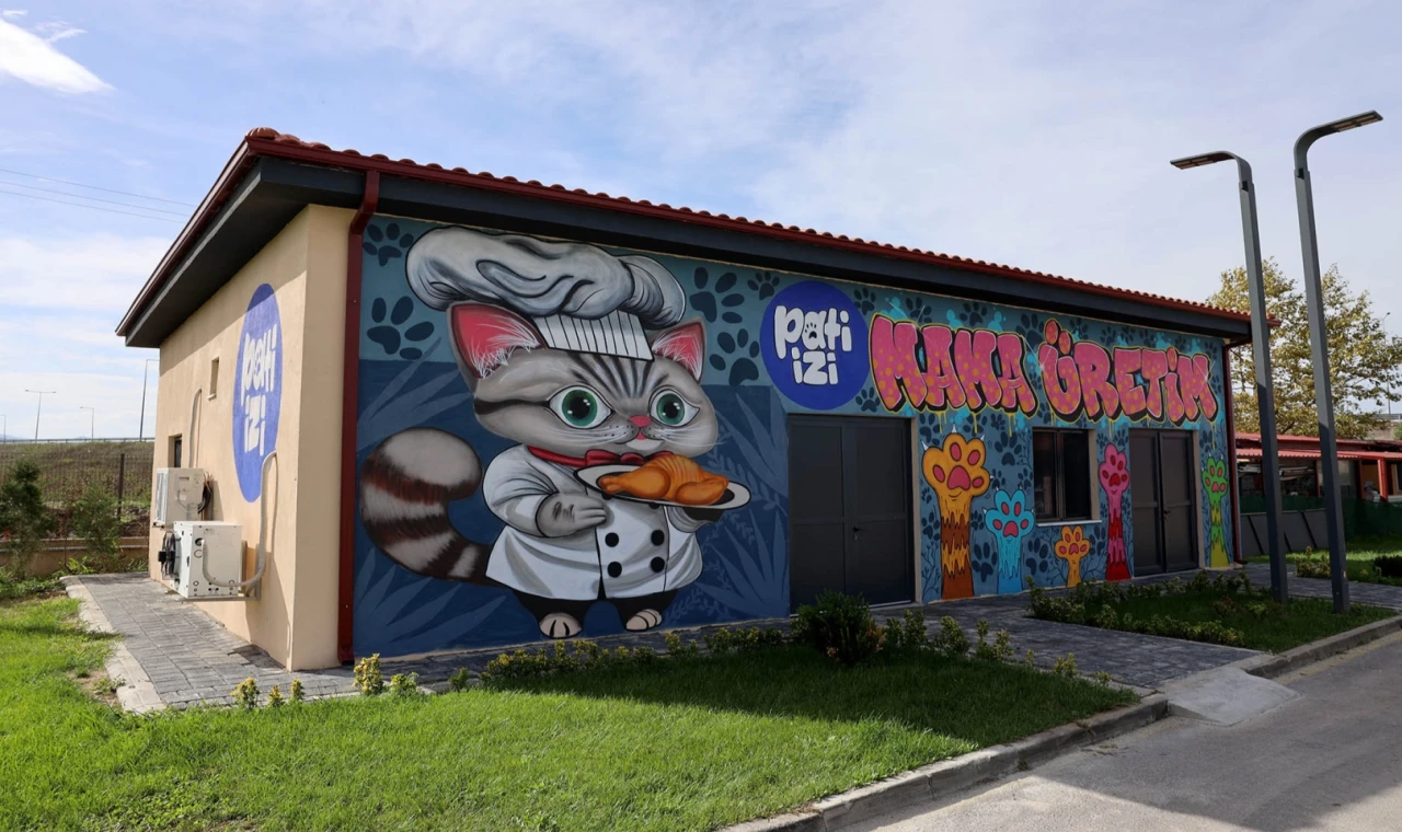 Sakarya’da yemek atıkları mamaya dönüşüyor