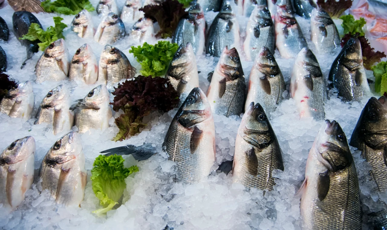 Su ürünleri ihracatının yüzde 47’si Ege’den yapıldı