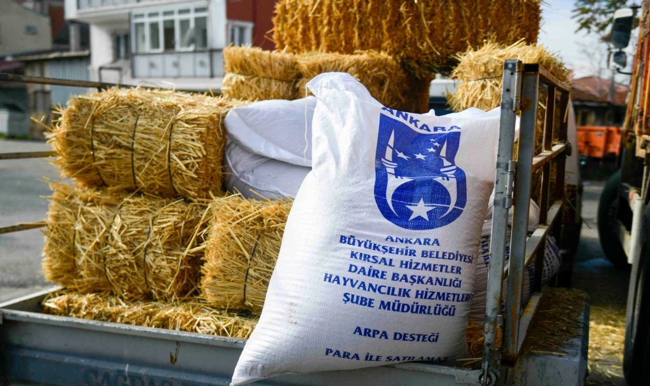 Ankara’da mandacılara yüzde yüz hibeli yem desteği