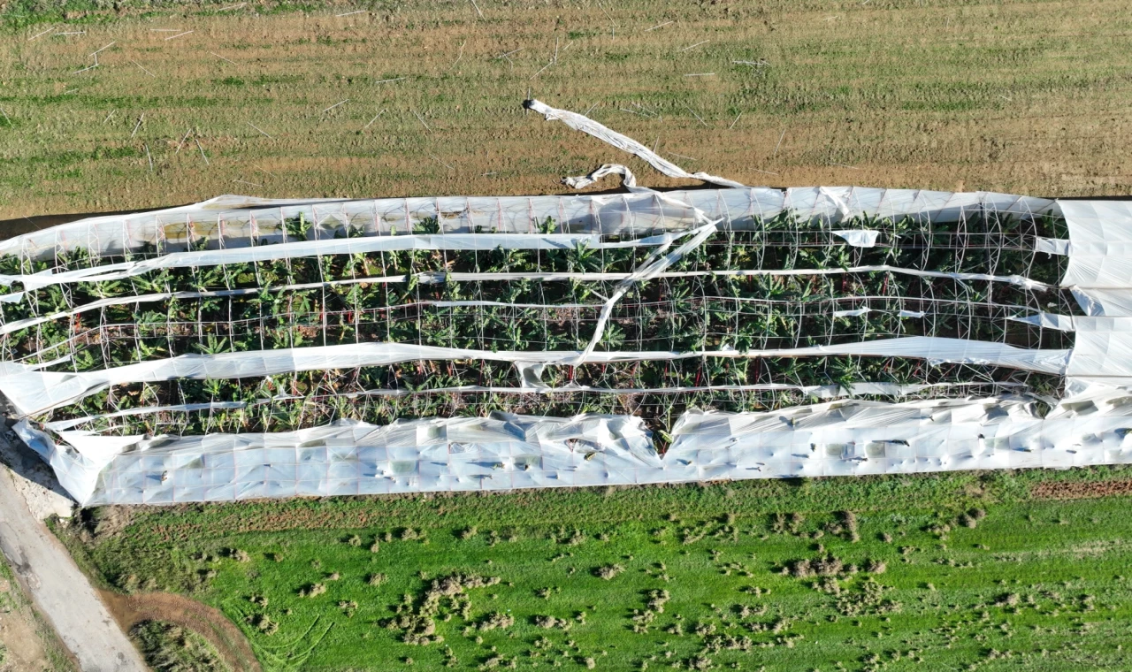 Antalya Büyükşehir’den hortum felaketinde çiftçiye destek