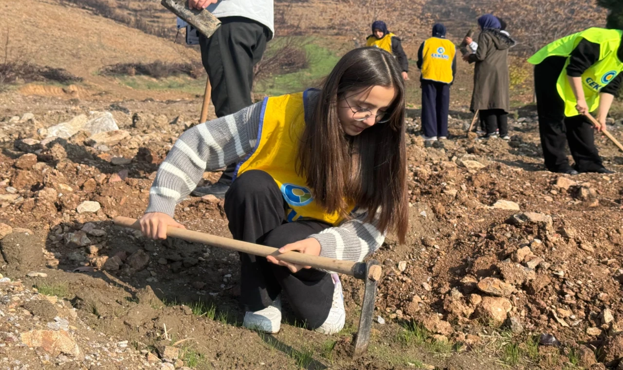 Gürsu’da yanan ormanlar yeniden yeşeriyor... 15 bin fidan toprakla buluştu