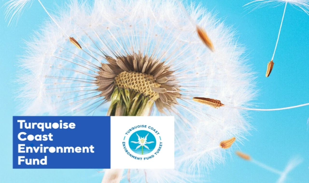 TCEF 2026 Hibe Programı’nda Türkiye’nin güney ve batı kıyılarına destek... Son başvuru 25 Ocak