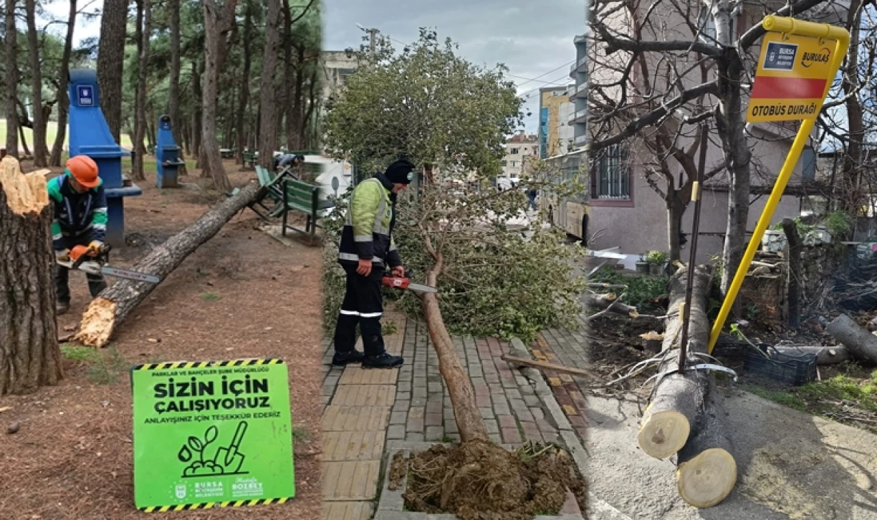 Lodos Bursa’yı vurdu! Büyükşehir sahada