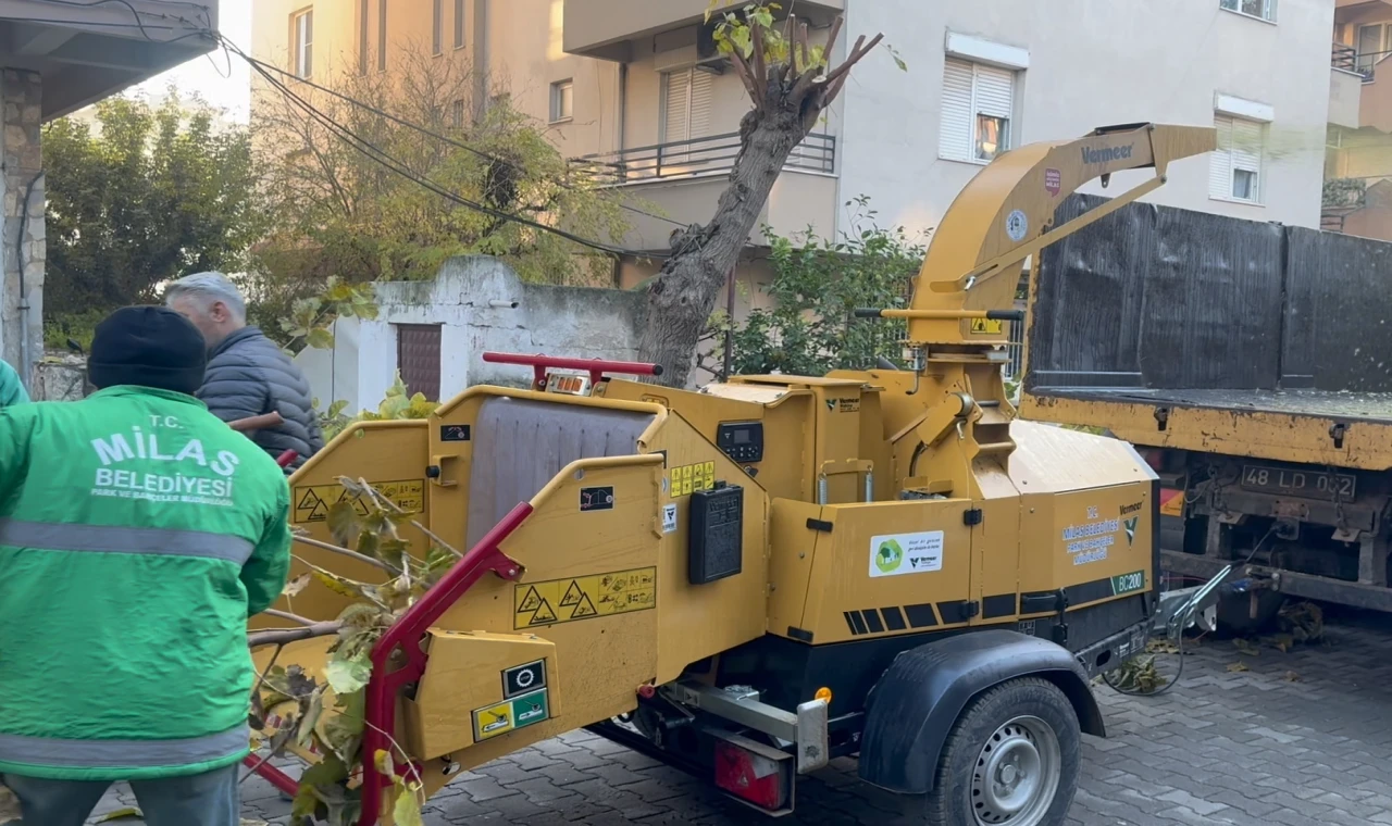 Muğla Milas’ta dal öğütme makinesi hizmette