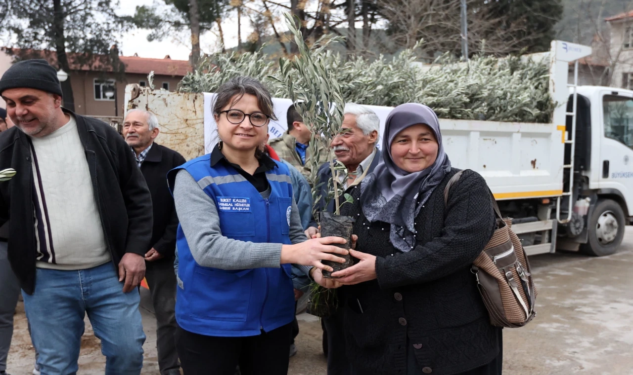 Muğla Ula’da üreticiye zeytin ve ceviz fidanı desteği