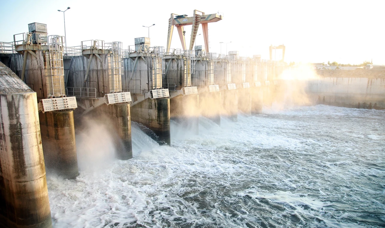 Sakarya’da 716 bin ağaç dikimine eş değer üretim... SASKİ’den 2025’te çifte rekor