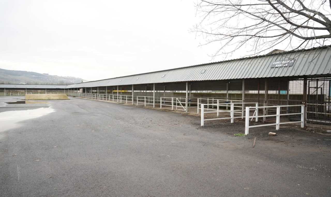 Bursa Yenişehir’de canlı hayvan pazarı yeniden açıldı