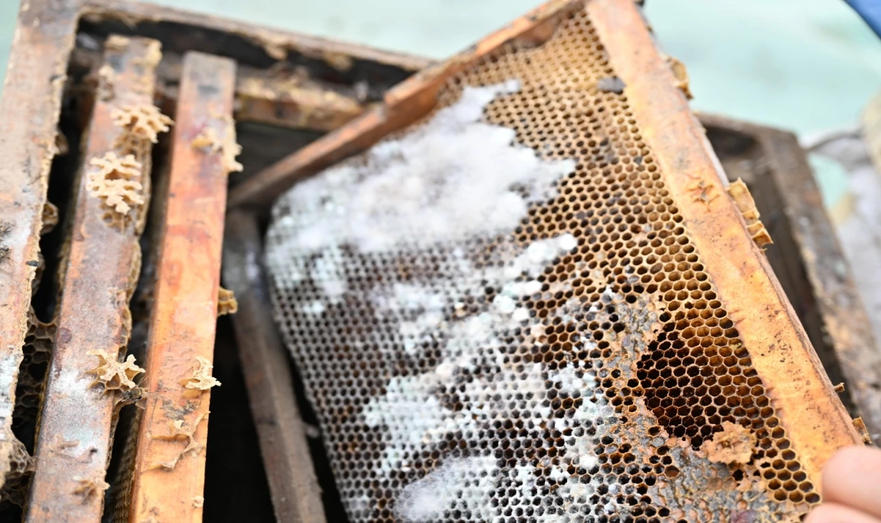 Manisa’da sel mağduru arıcıya kovan desteği