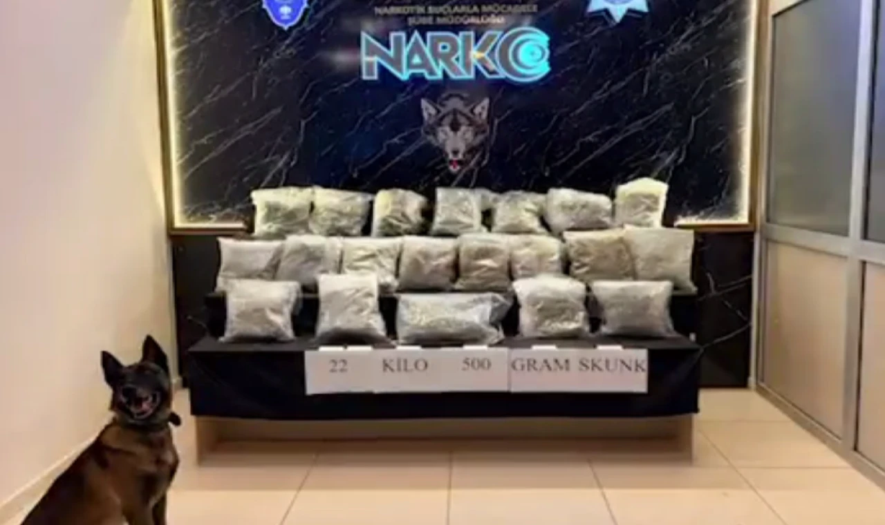 Narko Edirne, Hamzabeyli’de 22,5 kilo skunk ele geçirdi