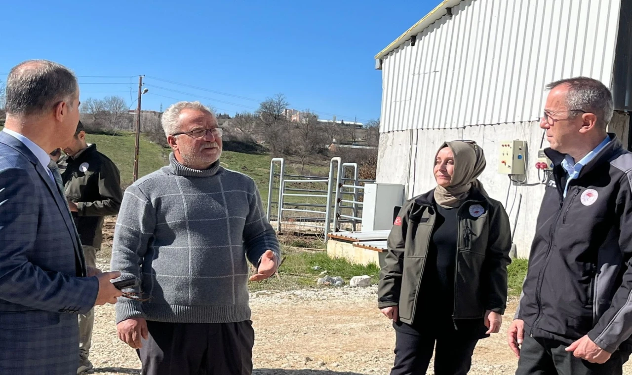 Bilecik Pazaryeri’nde tarım ve hayvancılık faaliyetlerine Müdür Ayvalık’tan yerinde inceleme