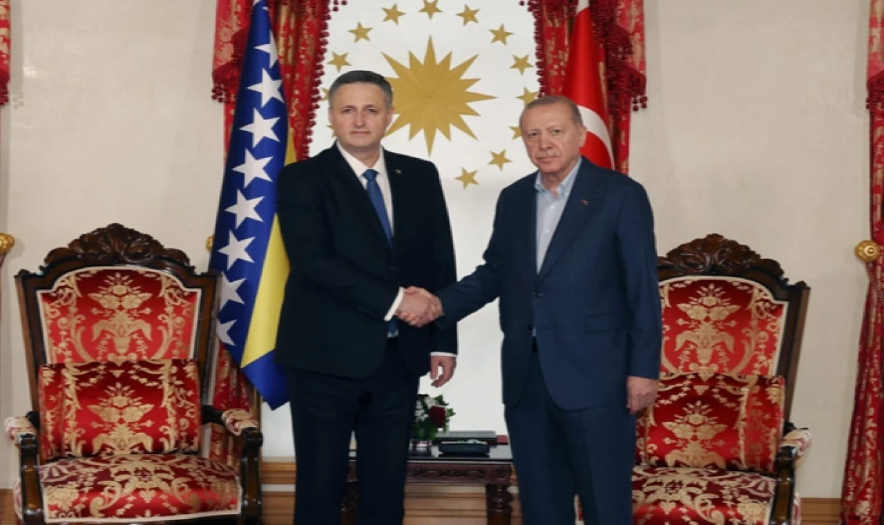 Cumhurbaşkanı Erdoğan, Beçiroviç’i Dolmabahçe’de ağırladı