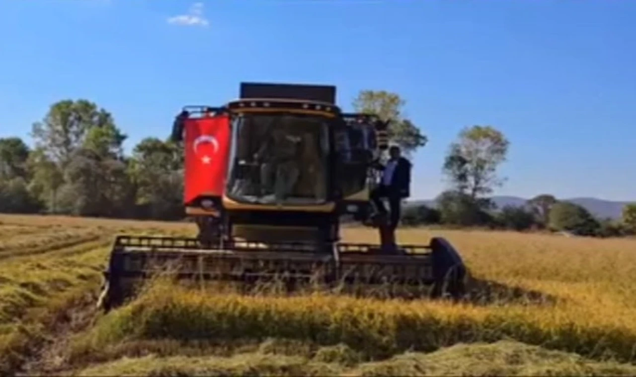 İstanbul’da yeni üretim sezonu için tohum ve fideler hazır