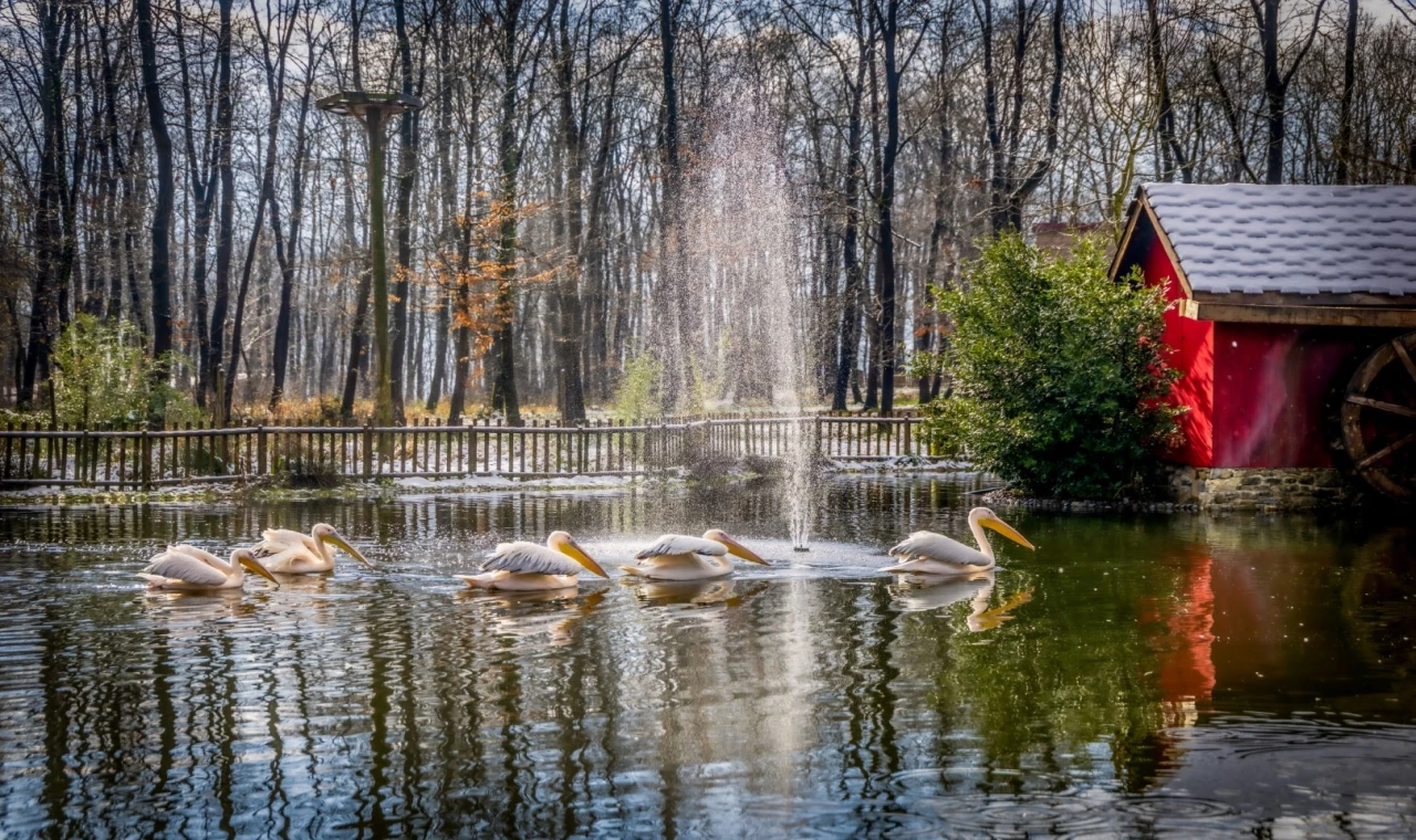 Kocaeli’de Ormanya ve Kuzuyayla ziyaretçilere hazır
