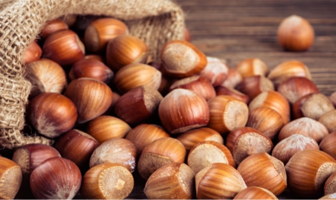 TMO’dan ’kabuklu fındık’ açıklaması: Satışımız ve hazırlığımız bulunmamaktadır