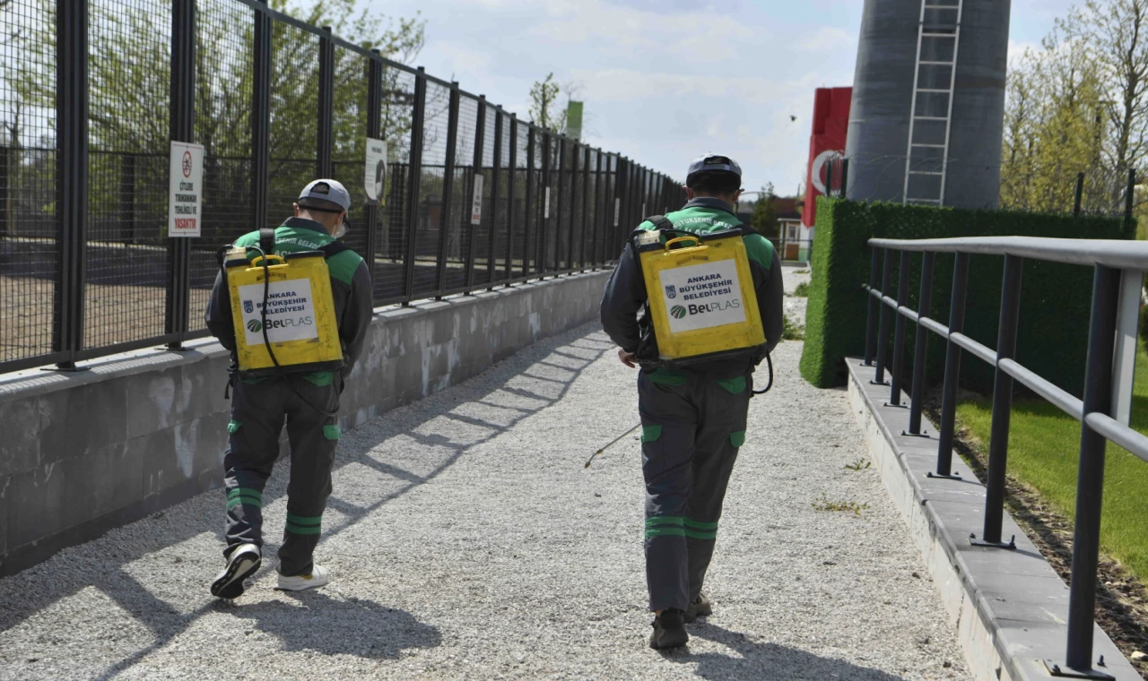 Başkent’te haşereyle etkin mücadele