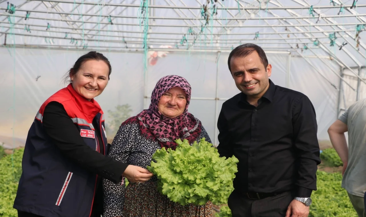 İpsala Esetçe’de ’Meryem Teyze’ örneği... Yüzde 75 hibeli serada verimlilik artıyor