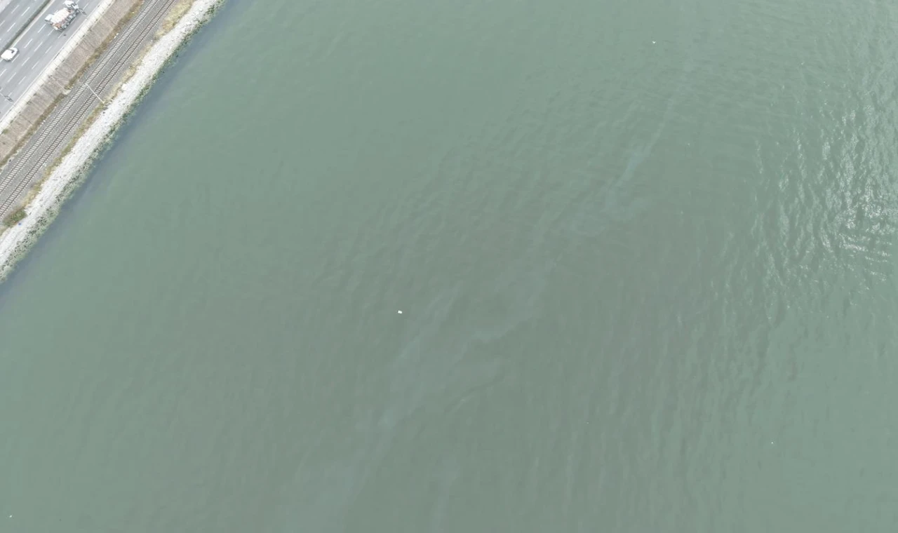 İzmir Körfezi’nde kirlilik endişelendiriyor! Aynı tehdit 11. kez görüldü