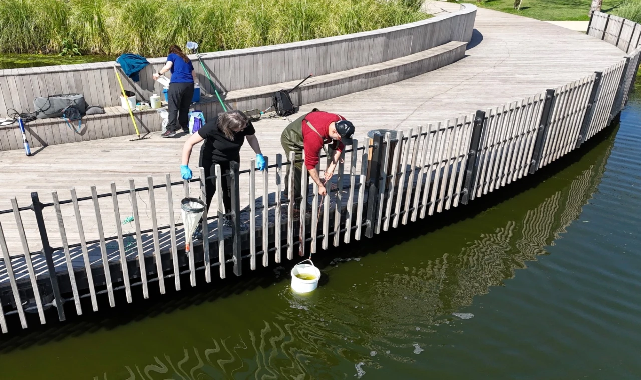 İzmit Millet Bahçesi’nde su göletine bilimsel çalışma