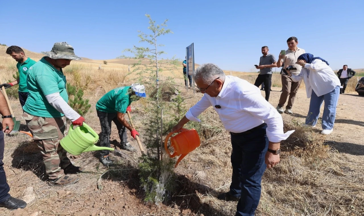Kayseri Büyükşehir’den kente ’yeşil’ atılım