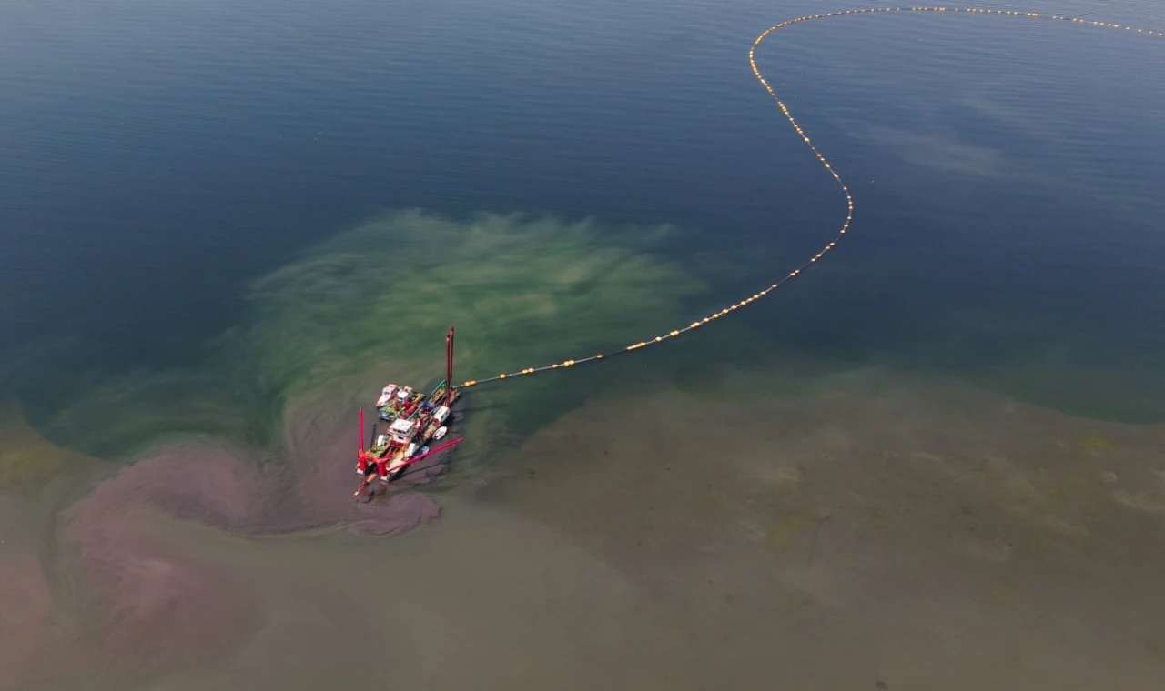 Kocaeli’nin çevre projesi deniz canlılarını canlandırdı