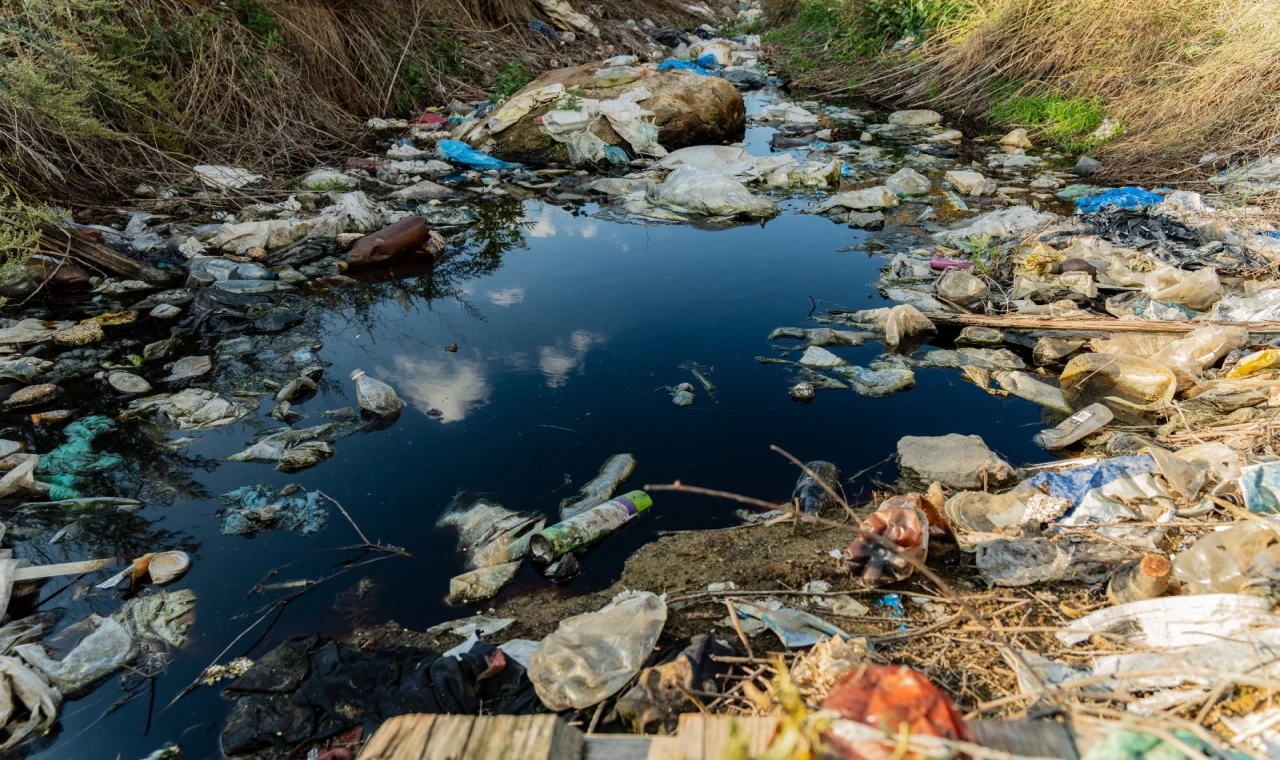Prof. Dr. Ünüsan’dan mikroplastik uyarısı: Bitki bazlı çözümler umut veriyor ancak...