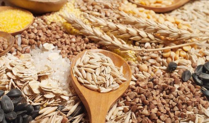 Hububat sektöründen 3,6 milyar dolar ihracat