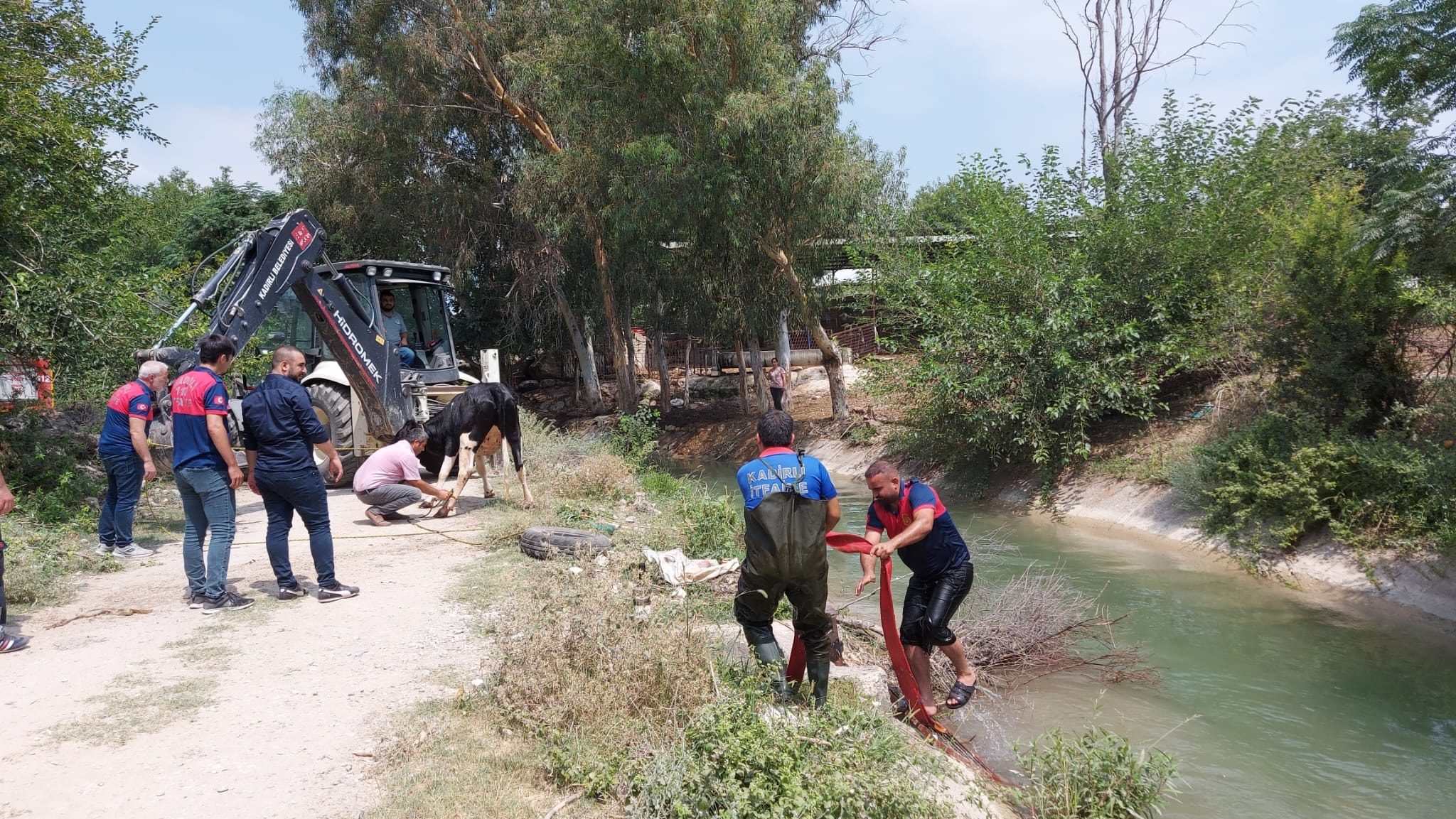 Sulama kanalına düşen ineği itfaiye ekipleri kurtardı