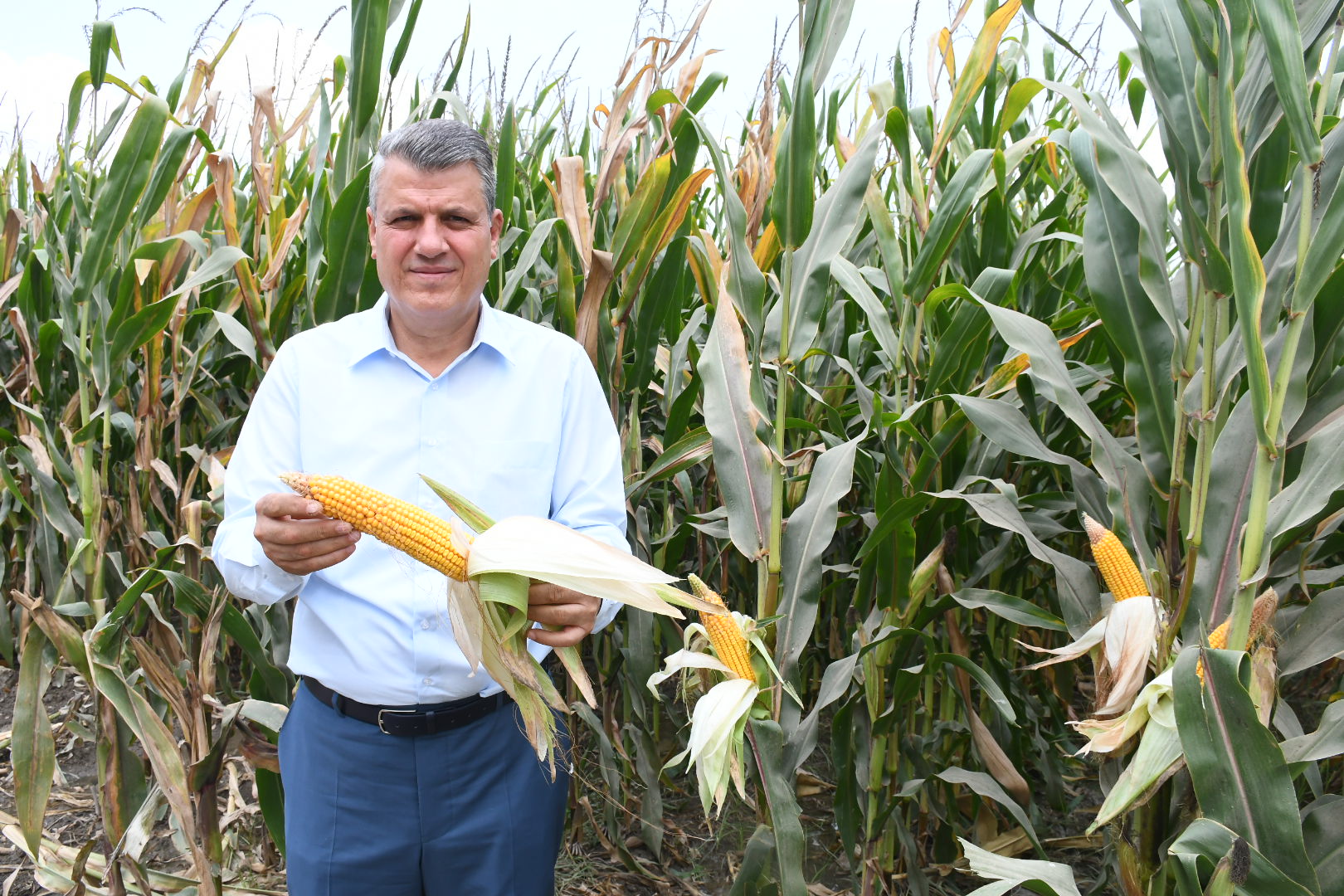 Ayhan Barut'tan 110 bin tonluk mısır ithalatına tepki                           
