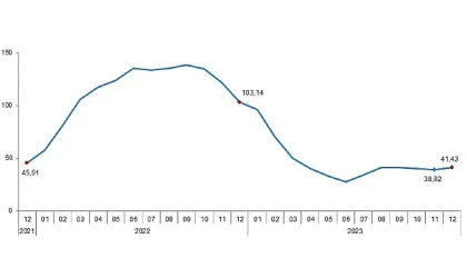 TÜİK: Tarımsal girdi fiyat endeksi (Tarım-GFE) yıllık %41,43, aylık %2,62 arttı