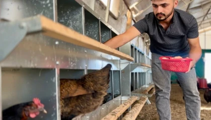 Kocaeli’de çiftçinin yüzü gülüyor