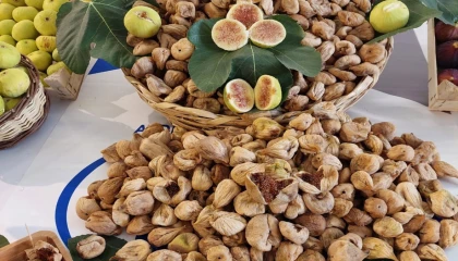 Kuru incir ihracatında yüzde 12’lik artış