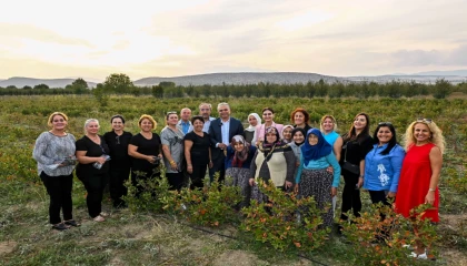 Uysal, ‘İhracat ajansı şart’