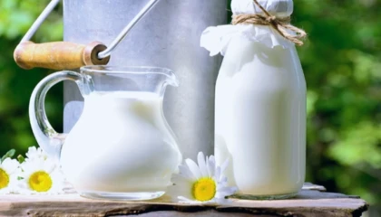 Çiğ süt primi litre başına 1 TL olacak