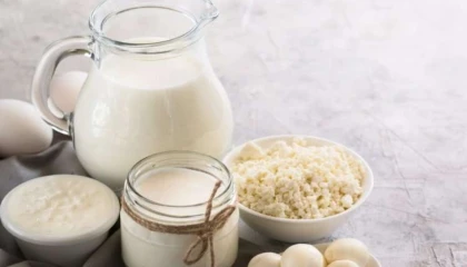 Süt üretimi arttı