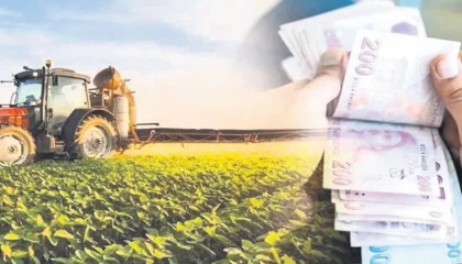 Çiftçi borçları rekor seviyede... Tarım kredilerinde batık oranı arttı