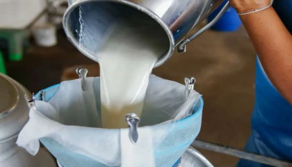 Çiğ süt kaç dakika kaynatılmalı?