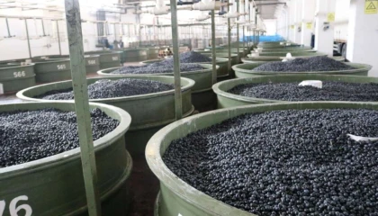 Marmarabirlik ortaklarına 22 milyon TL daha ödeyecek