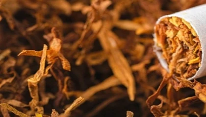 Yurt Dışı Üretici Fiyat Endeksi Aralık’ta da arttı... Yıllıkta tütün, aylıkta gıda ürünleri başı çekti