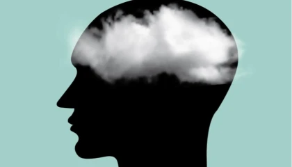 Beyin Sisine Dikkat! Beyin Sisi Nedir?