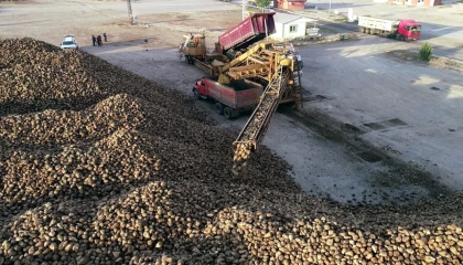 Erzurum ve Erzincan’da pancar hasadı tamamlandı