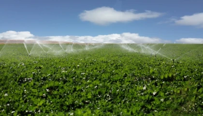 Erzurum’da 70 bin ton pancar üretimi