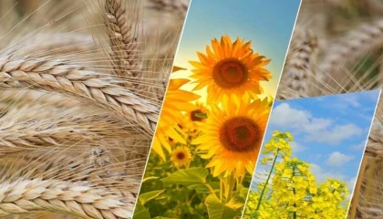 2,6 milyar TL’lik tarımsal destek ödemesi yapılacak