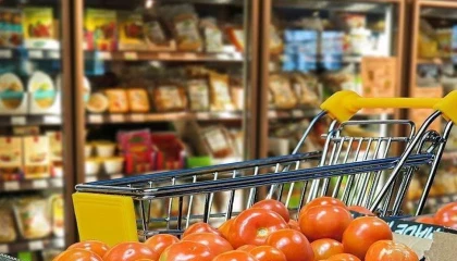 Ekonomik ’güven’ arttı