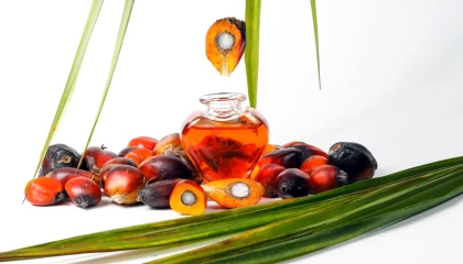Palm yağıyla ilgili yanlış algılar çürütüldü!