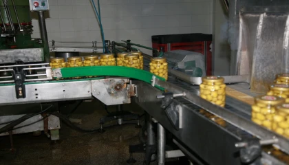 Türk zeytincilik sektörü ABD’de yüzde 10 pay hedefliyor