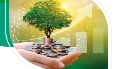 Bankalar ’yeşil varlık oranını’ raporlaştıracak