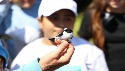 Bilim Köyü’nde kuş halkalama eğitimi verildi