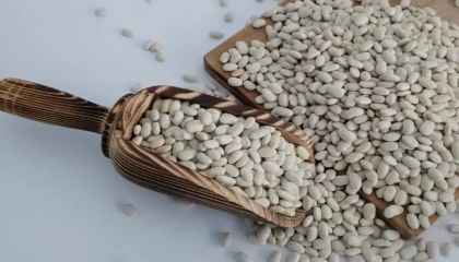 Mart’ın şampiyonu kuru fasulye!